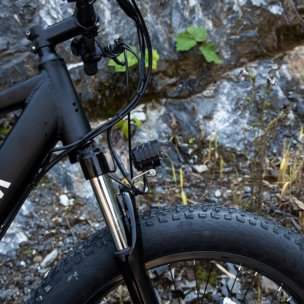 Electric Mountain Bike