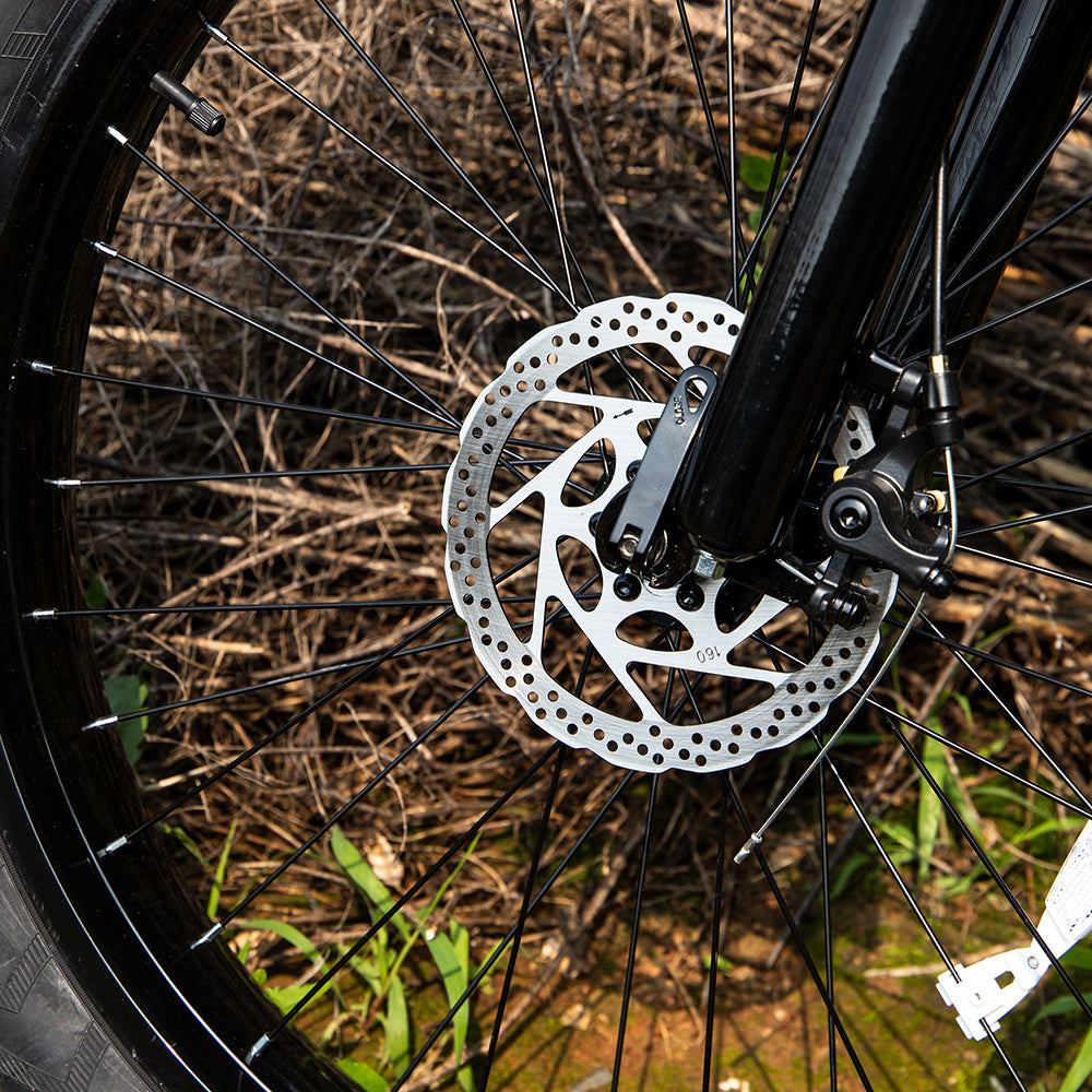 Electric Mountain Bike