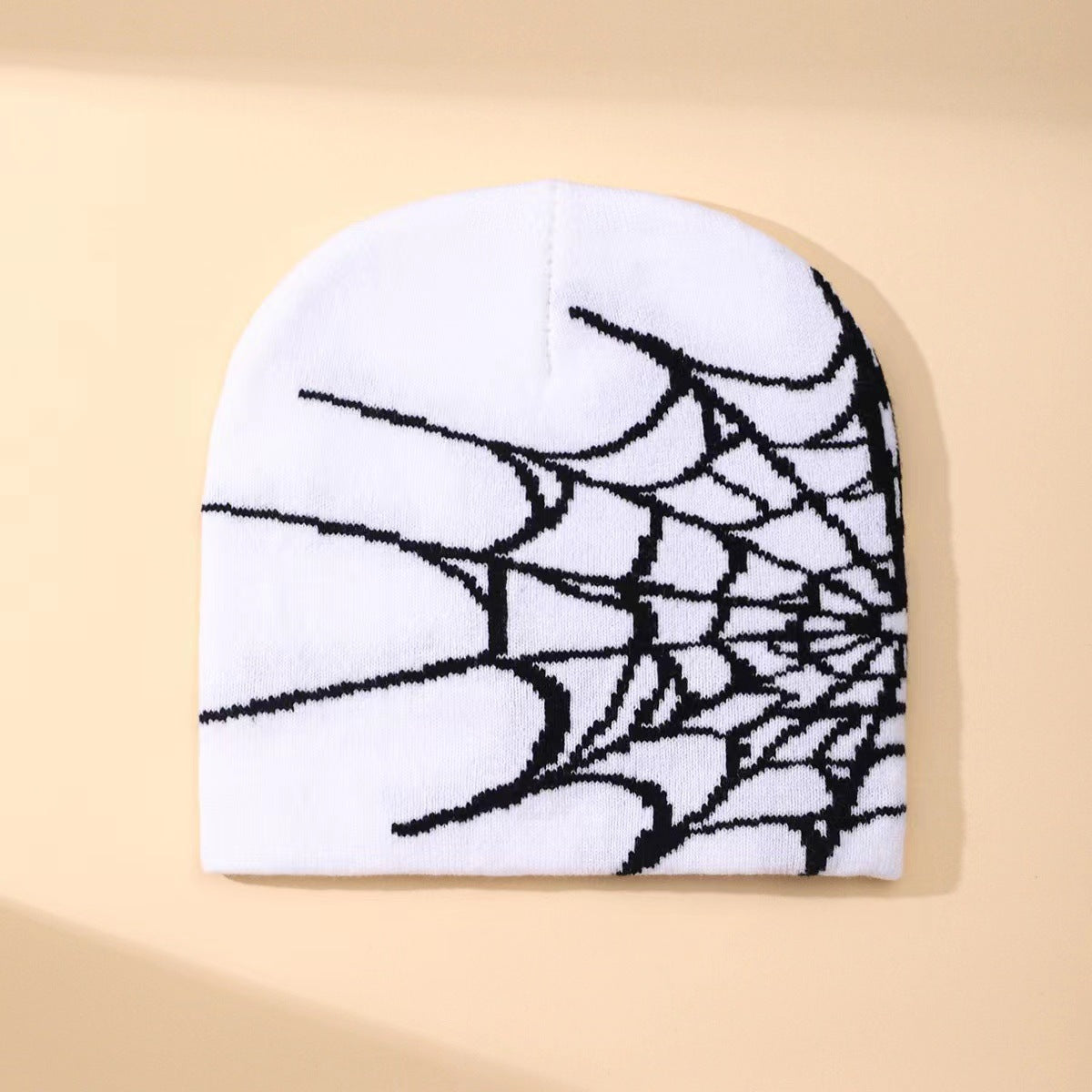 Spider Web Beanie