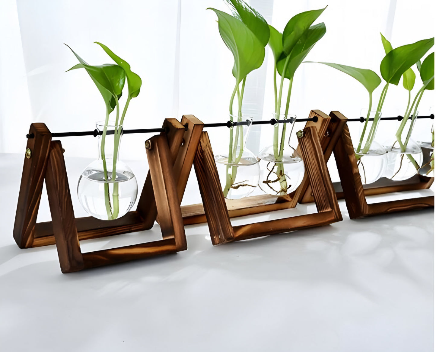 Glass Tabletop Plant Stand
