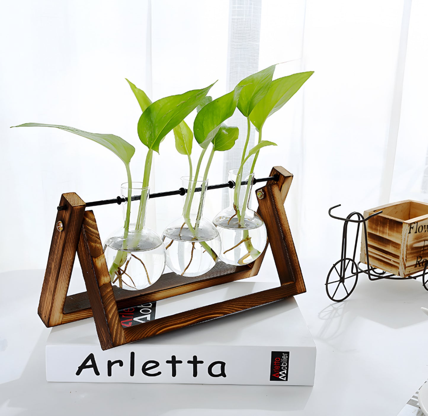 Glass Tabletop Plant Stand