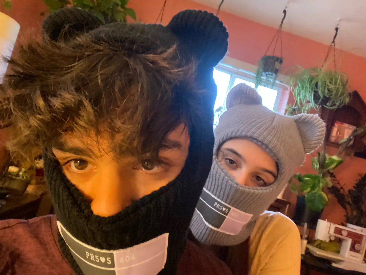 Ski Mask Bear Ear Beanies