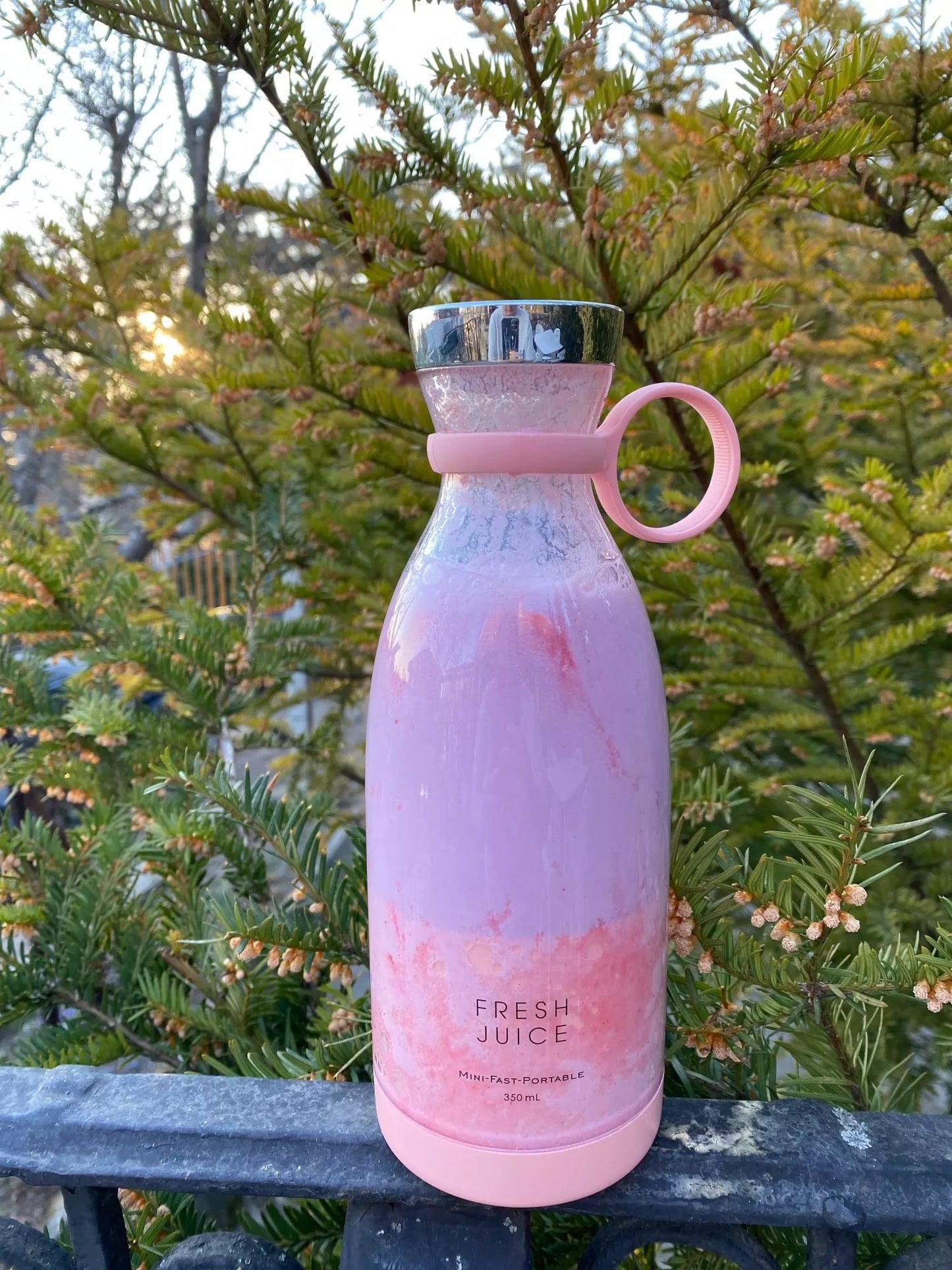 Portable Electric Juice Blender